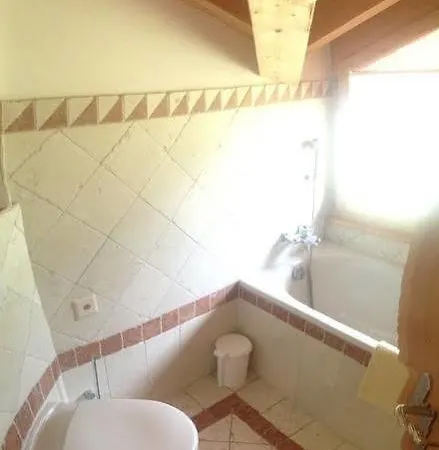 阿尔法摩尼公寓酒店 公寓 采尔马特